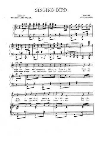 Singing Bird